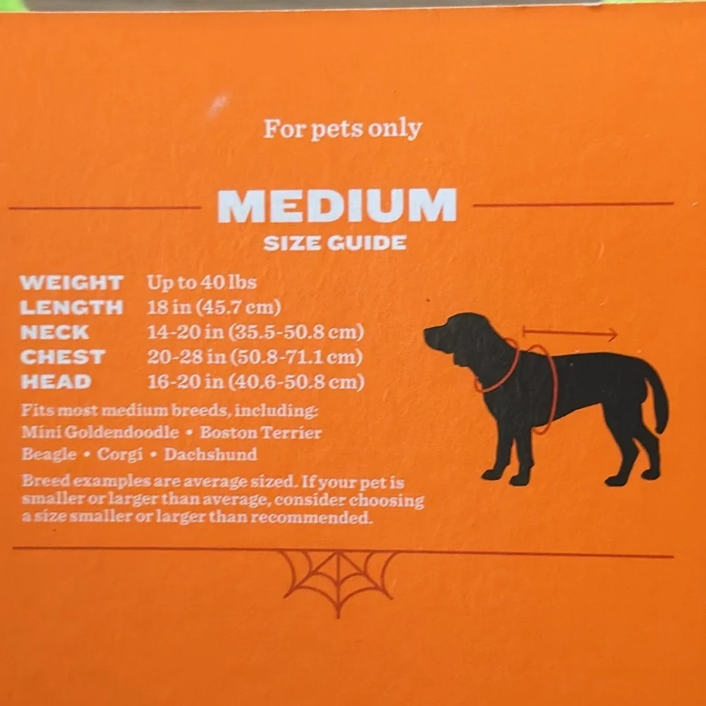 Hyde and Eek LED Light Up Stegosaurus Set for Medium Size Dog